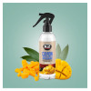 K2 CAYON 250ml Mango - osviežovač vzduchu