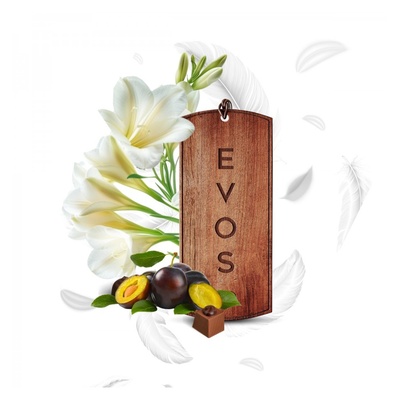 EVOS GRACE WOOD 115x50mm - aromatická vôňa